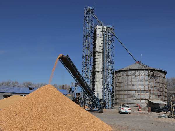 燒煤改燒秸稈大包直燃熱風(fēng)爐，烘干成本省一半