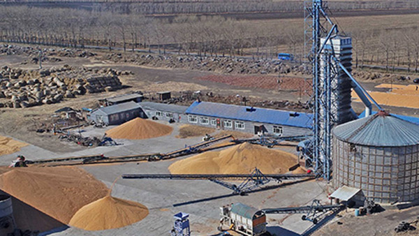 糧食烘干合作社如何做到年節(jié)省90萬元？利民萬佳鍋爐為您解析